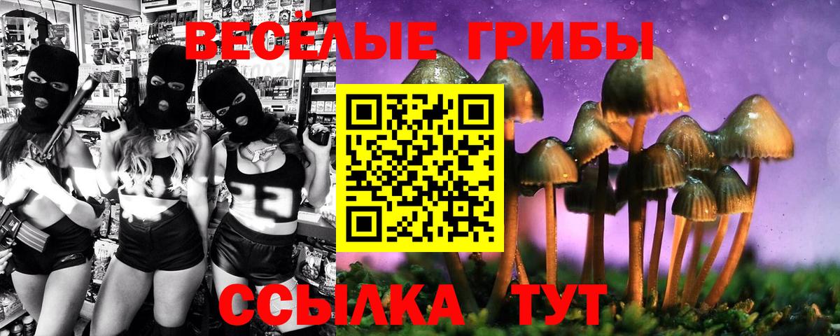 Галлюциногенные грибы ЛСД  магазин продажи наркотиков  Ирбит  Вход с VPN 